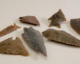 Scallorn points, an assortment of projectile points, from the collections at the Museum of the Coastal Bend
