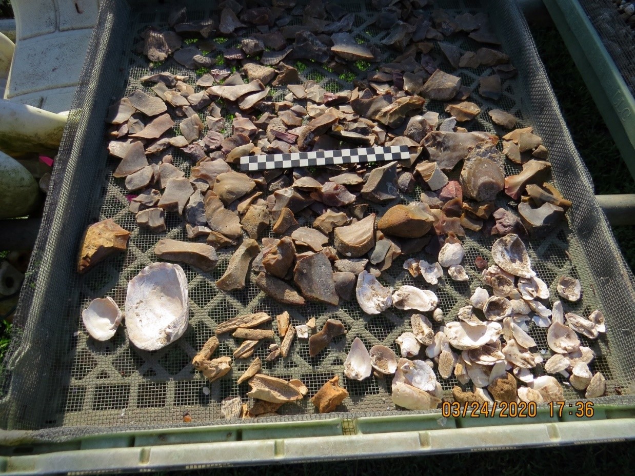 Debitage is the waste material left over when a flintknapper creates a stone tool.