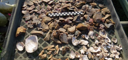 Debitage is the waste material left over when a flintknapper creates a stone tool.