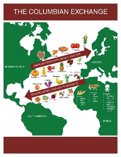 Columbian Exchange exhibit at the Museum of the Coastal Bend in Victoria, TX