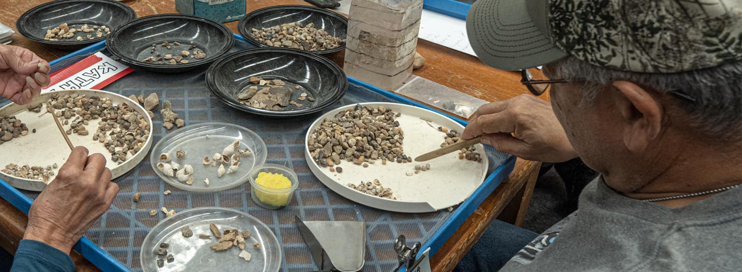 Lab at the Museum of the Coastal Bend in Victoria, TX