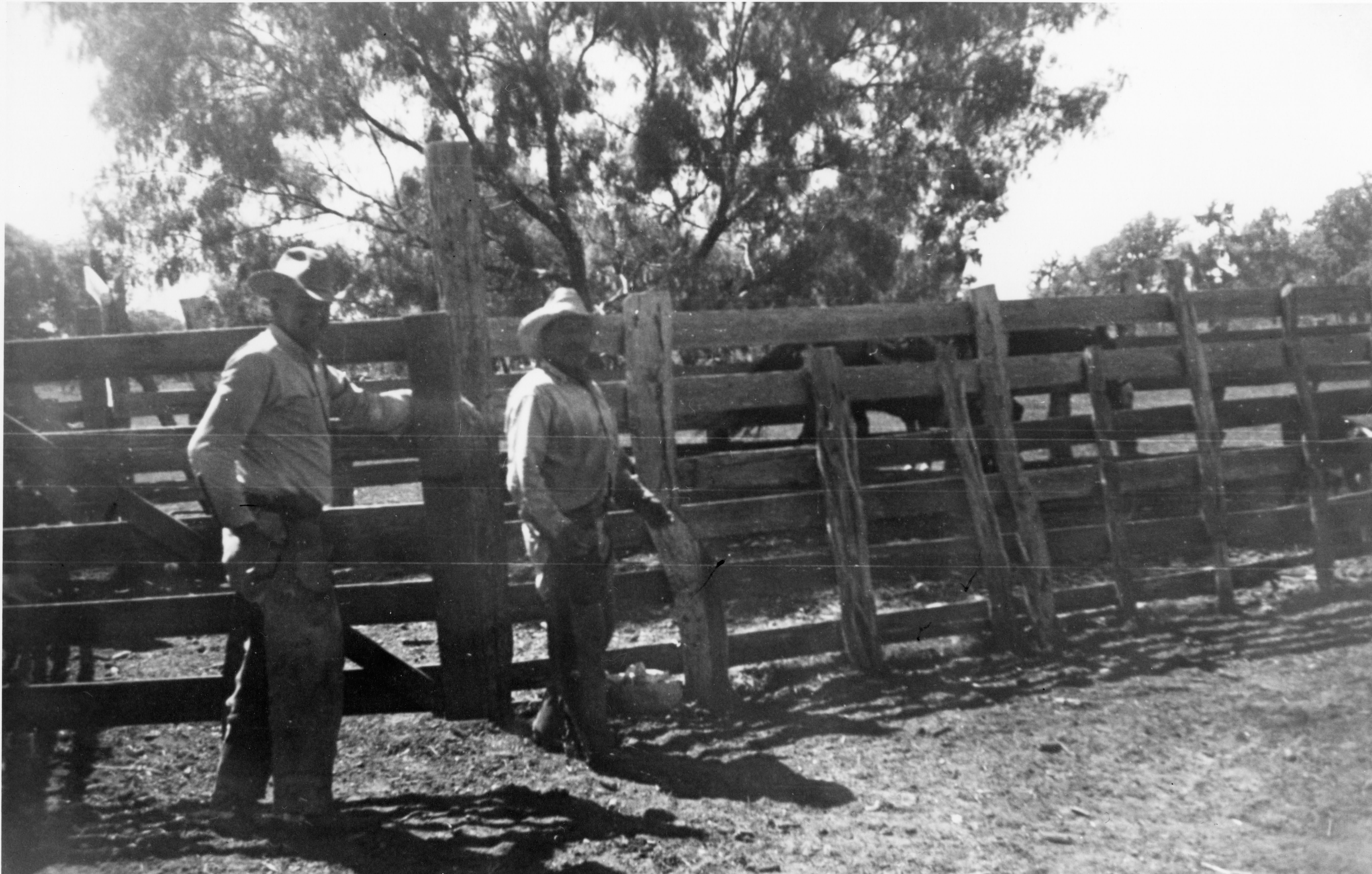 Dick and Alvina Hanley leaning on a fence in 1925. This photo is courtesy of the Louise O'Connor Collection.