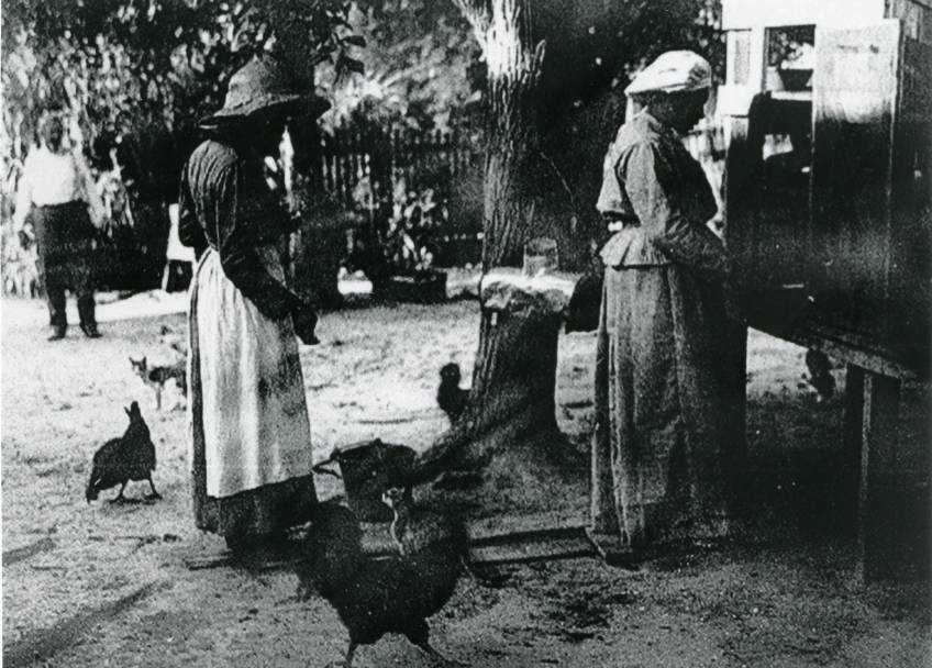 African American women standing in a farm yard in McFaddin, TX in 1914. Image is courtesy of Victoria Regional History Center.