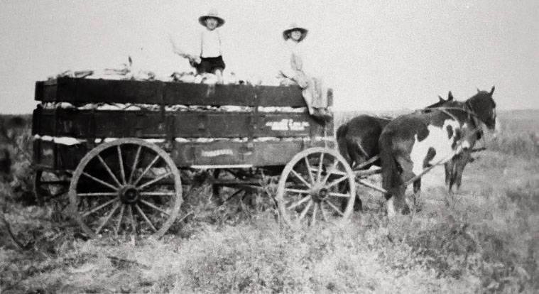 Men on Studebaker wagon in 1926. Image is courtesy of Victoria Regional History Center, Victoria College/University of Houston-Victoria Library.